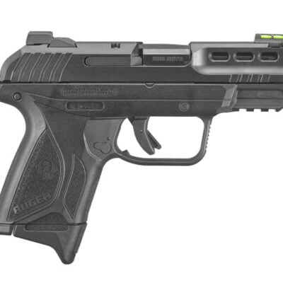 Ruger 10/15+1 Security 380 with Lite Rack slide and fiber optic front sight for $291 currently here: