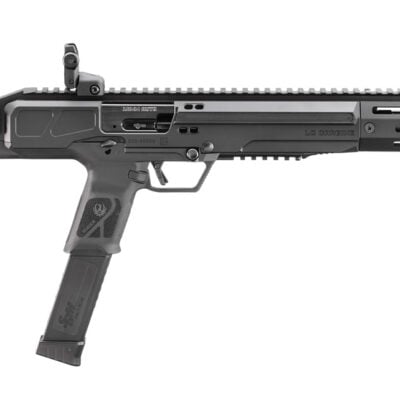 Ruger's new LC Carbine with 16'' 10mm CHF threaded barrel, MLOK handguard, Glock pattern mags, folding adjustable stock, and folding BUIS for $777 shipped currently here