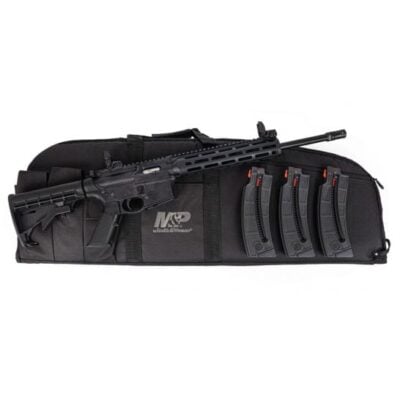 Smith & Wesson M&P15-22 with 16'' 22LR threaded barrel, 3x standard capacity 25 round magazines, MLOK handguard, Magpul MBUS II sights, and padded range case for $399 currently here: