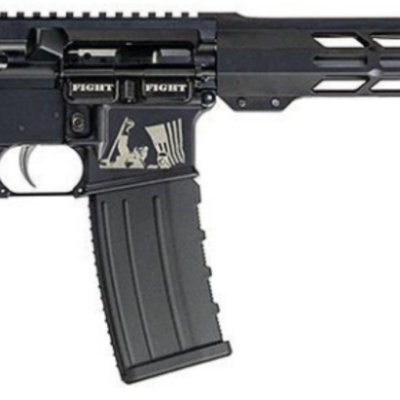Anderson Trump edition AR15 with 16'' 5.56 1:8'' twist nitrided barrel, MLOK handgarud, NiB trigger, & Magpul stock/grip for $378 currently here