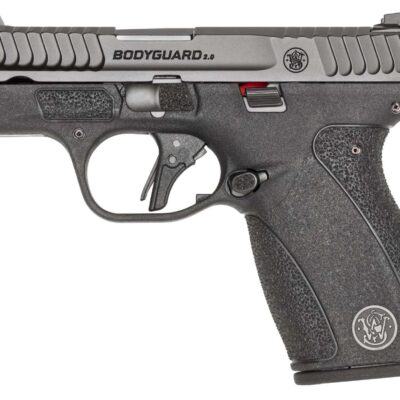 Smith & Wesson 10/12+1 compact 380ACP for $359 with code "SW10" currently here:
