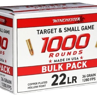 Winchester 22LR with 36gr copper plated hollow point projectiles for $0.053/rd & orders over $100 ship free currently here