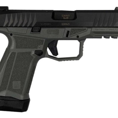 AREX 15/17+1 Gen 2 Delta M with CHF barrel, ambi controls, gray frame, and excellent trigger for $245 currently here