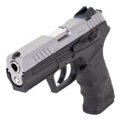 SAR USA 17+1 CM9 CZ75 clone with 3.8'' 9mm CHF barrel, stainless slide, & adjustable sights for $199 currently here