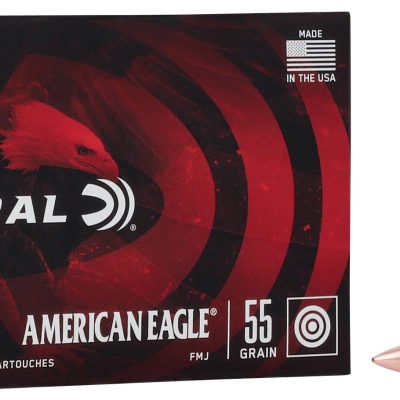 Hornaday brass case 55gr 223 in a sealed ammo can for $0.429/rd *shipped* currently here