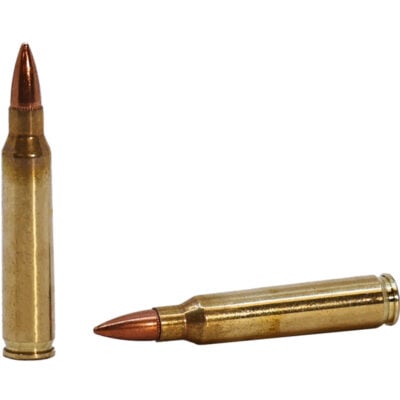 Fiocchi brass case 55gr 223 for $0.419/rd *shipped* currently here