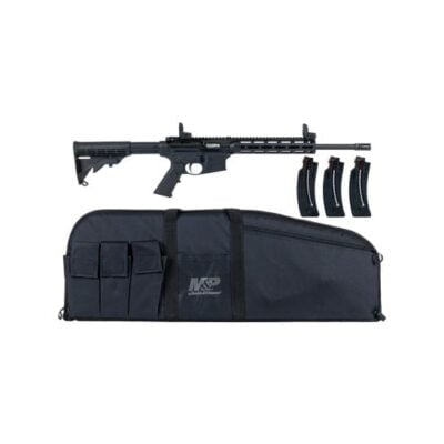 Smith & Wesson M&P15-22 with 16'' 22LR threaded barrel, 3x standard capacity 25 round magazines, MLOK handguard, Magpul MBUS II sights, and padded range case for $399 currently here