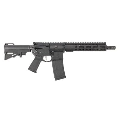 PSA Guardsman AR15 with 10.3'' 5.56 tapered profile chrome lined barrel, pinned gas block, MLOK handguard, ambi safety, flat NiB trigger, & Magpul grip/trigger guard, & H&R adjustable brace for $499 currently here