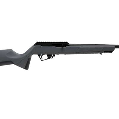 Savage semi auto RXR22 with 16'' 22LR threaded barrel, optic mount, 1913 bipod/light mount, and Ruger 10/22 magazines (all work...) for $179 currently here: